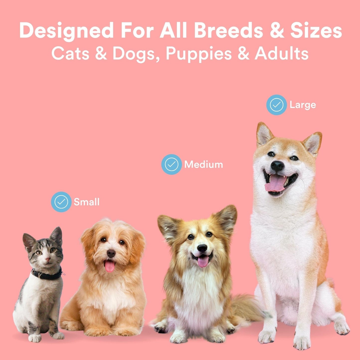 Jasper® 360º Pet Finger Toothbrush, 4-Pack Multi-Colors