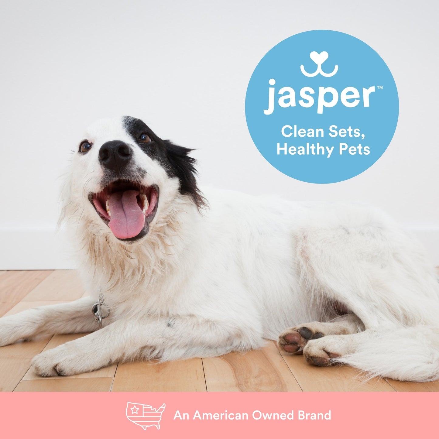 Jasper® 360º Pet Finger Toothbrush, 2-Pack Blue