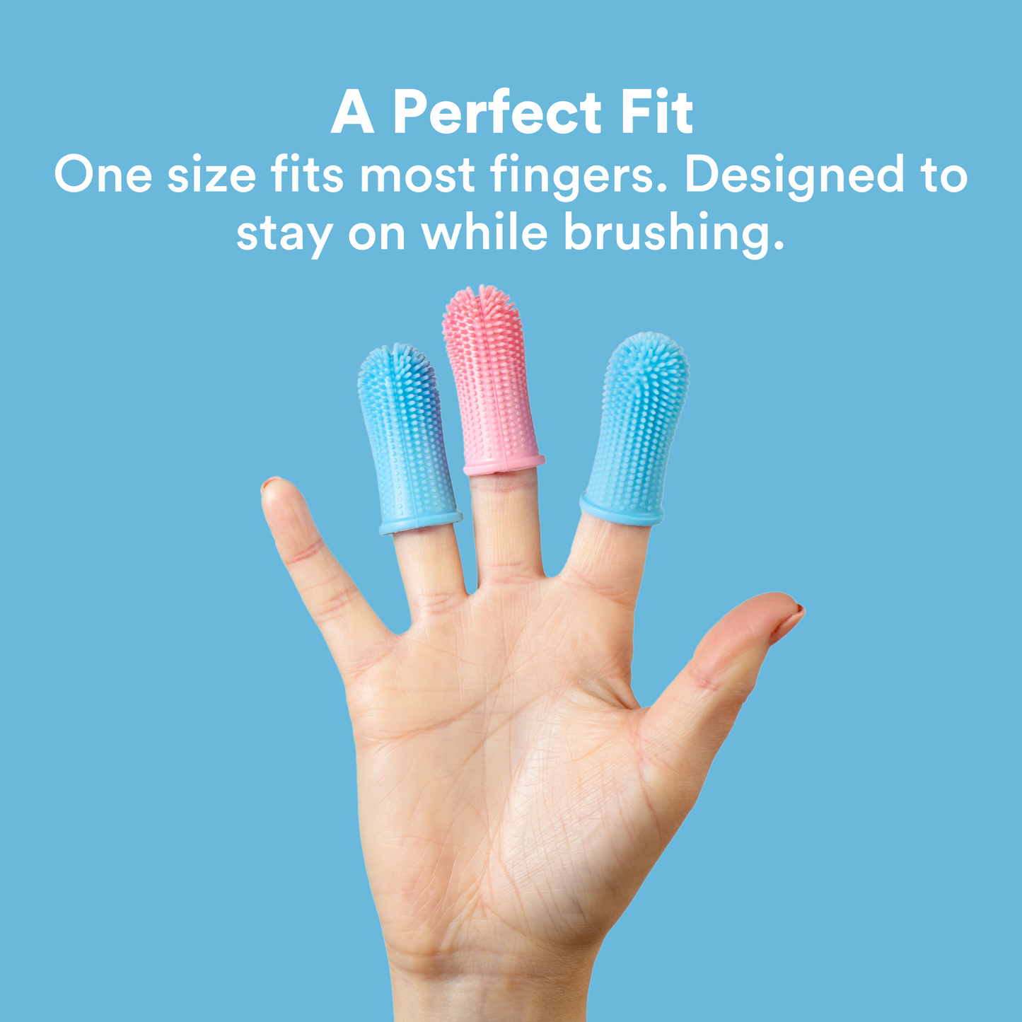 Jasper® 360º Pet Finger Toothbrush, 2-Pack Blue
