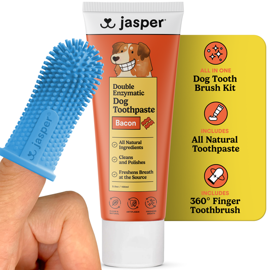 Jasper Toothbrush Kit with Bacon Toothpaste + 360º Finger Toothbrush