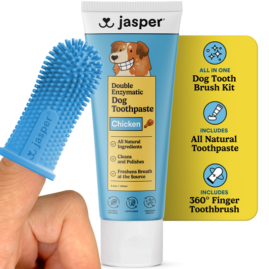 Jasper Toothbrush Kit with Chicken Toothpaste + 360º Finger Toothbrush