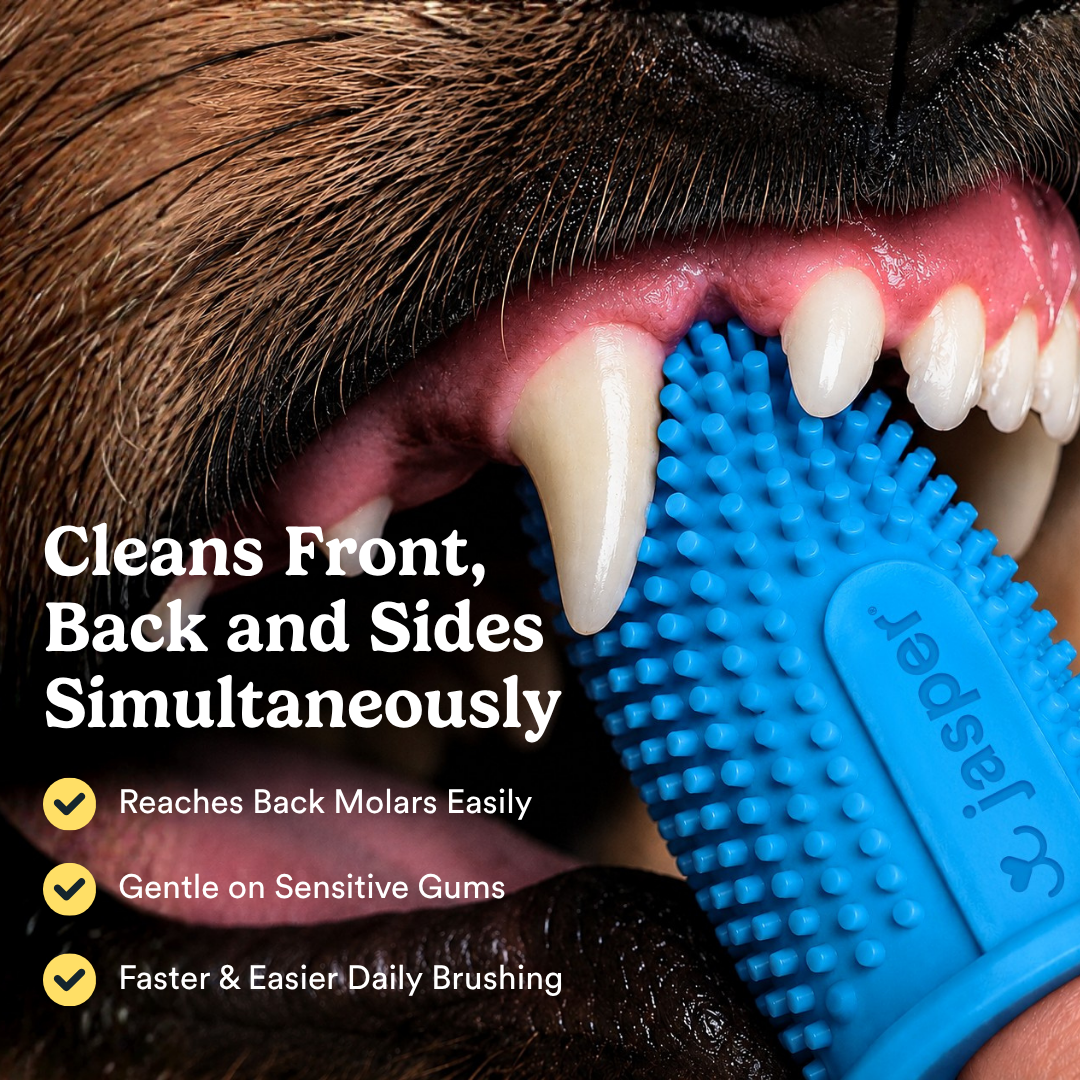360º Pet Finger Toothbrush