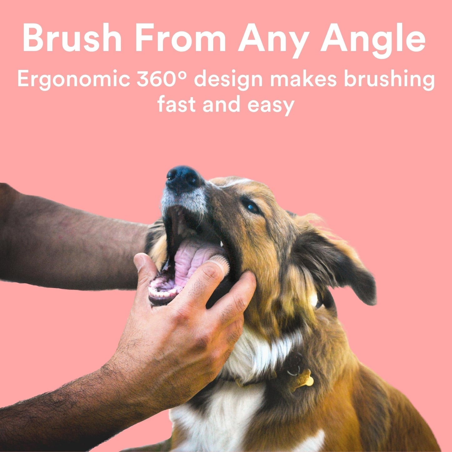 Jasper® 360º Pet Finger Toothbrush, 4-Pack Neon