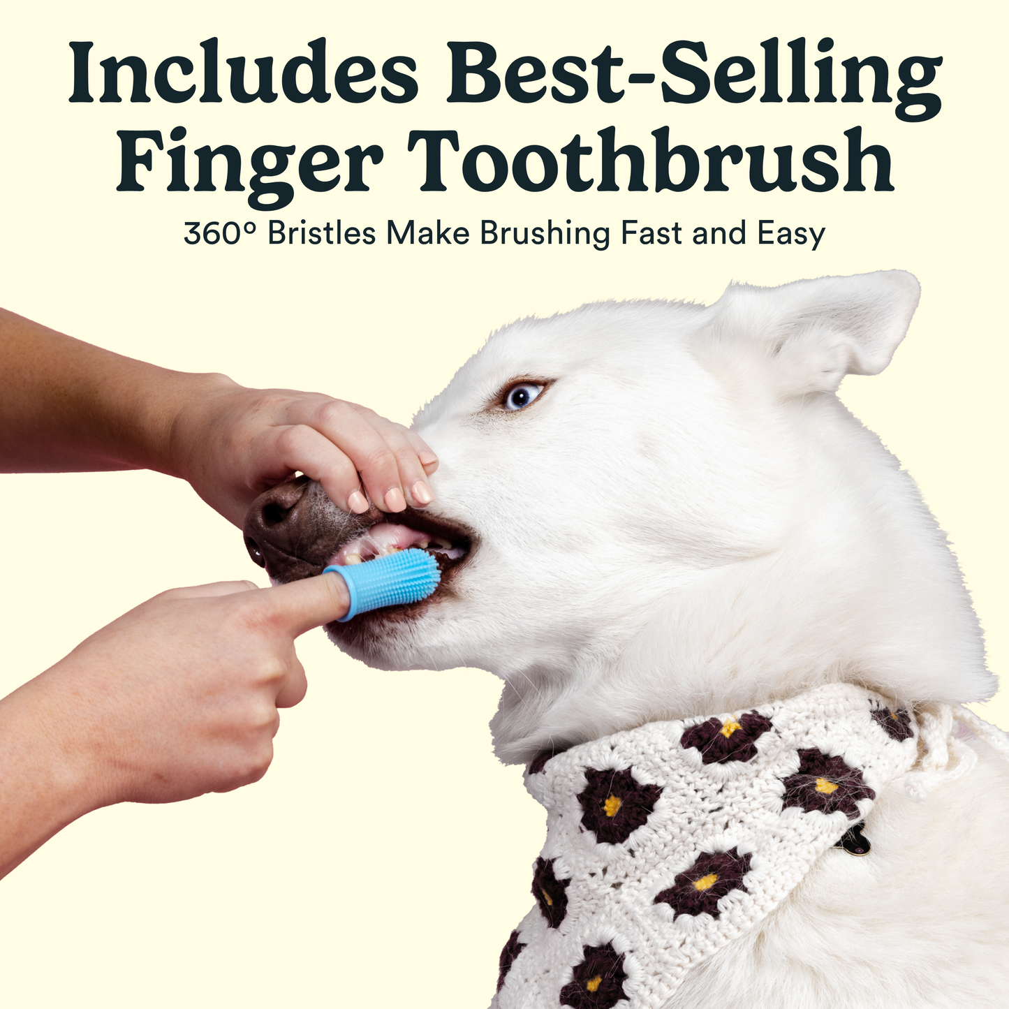 Jasper Toothbrush Kit with Bacon Toothpaste + 360º Finger Toothbrush