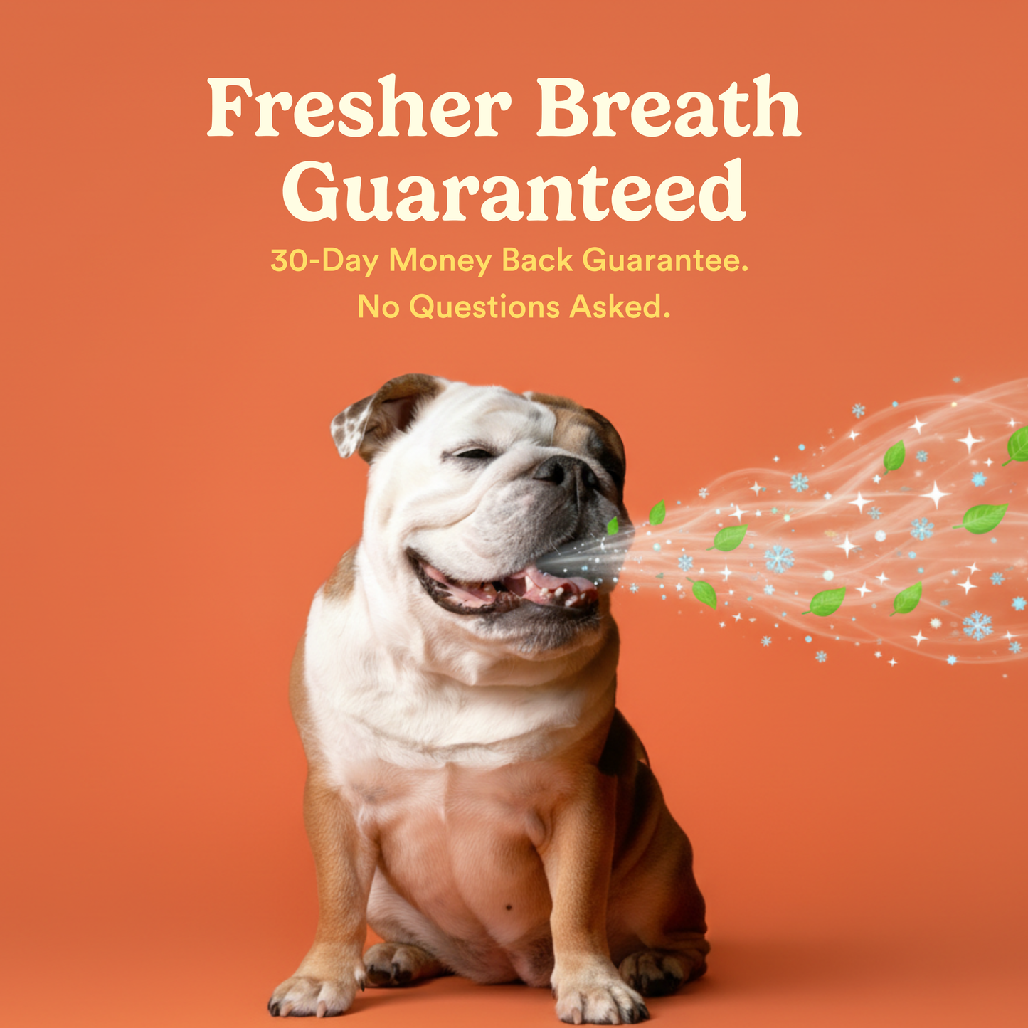 Jasper Toothbrush Kit with Bacon Toothpaste + 360º Finger Toothbrush