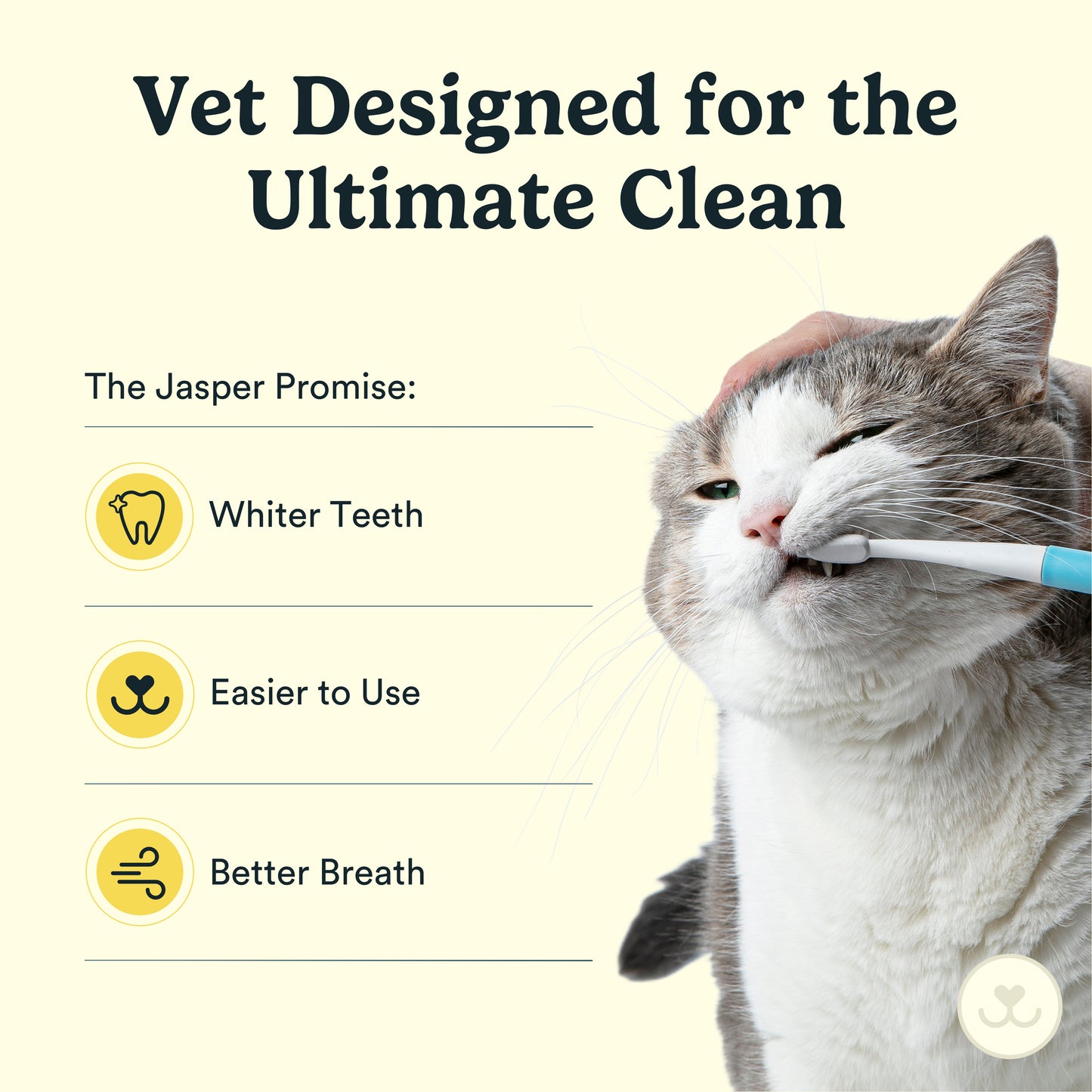 Jasper® Microbrush for Cats & Small Pets, Kit of 2 Brush Heads & 1 Handle