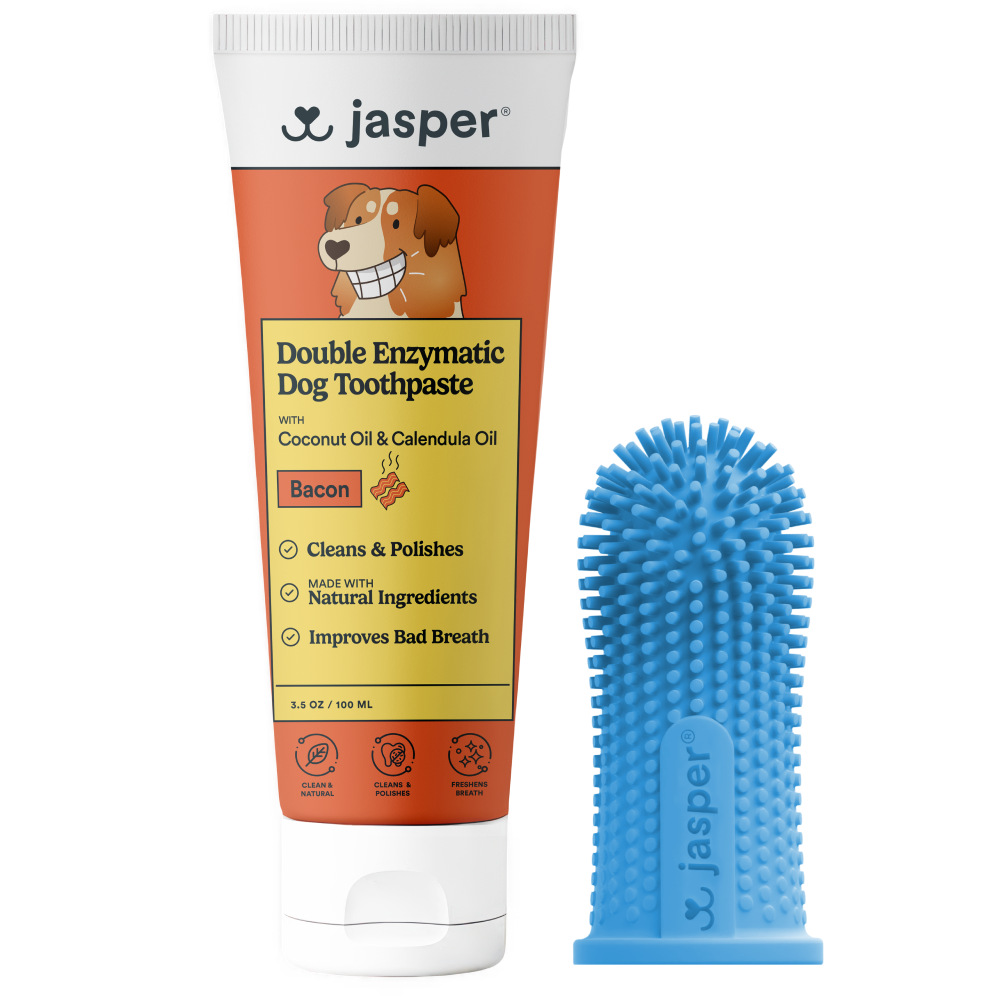 Jasper Toothbrush Kit with Bacon Toothpaste + 360º Finger Toothbrush