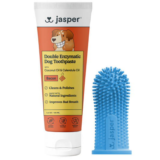 Jasper Toothbrush Kit with Bacon Toothpaste + 360º Finger Toothbrush