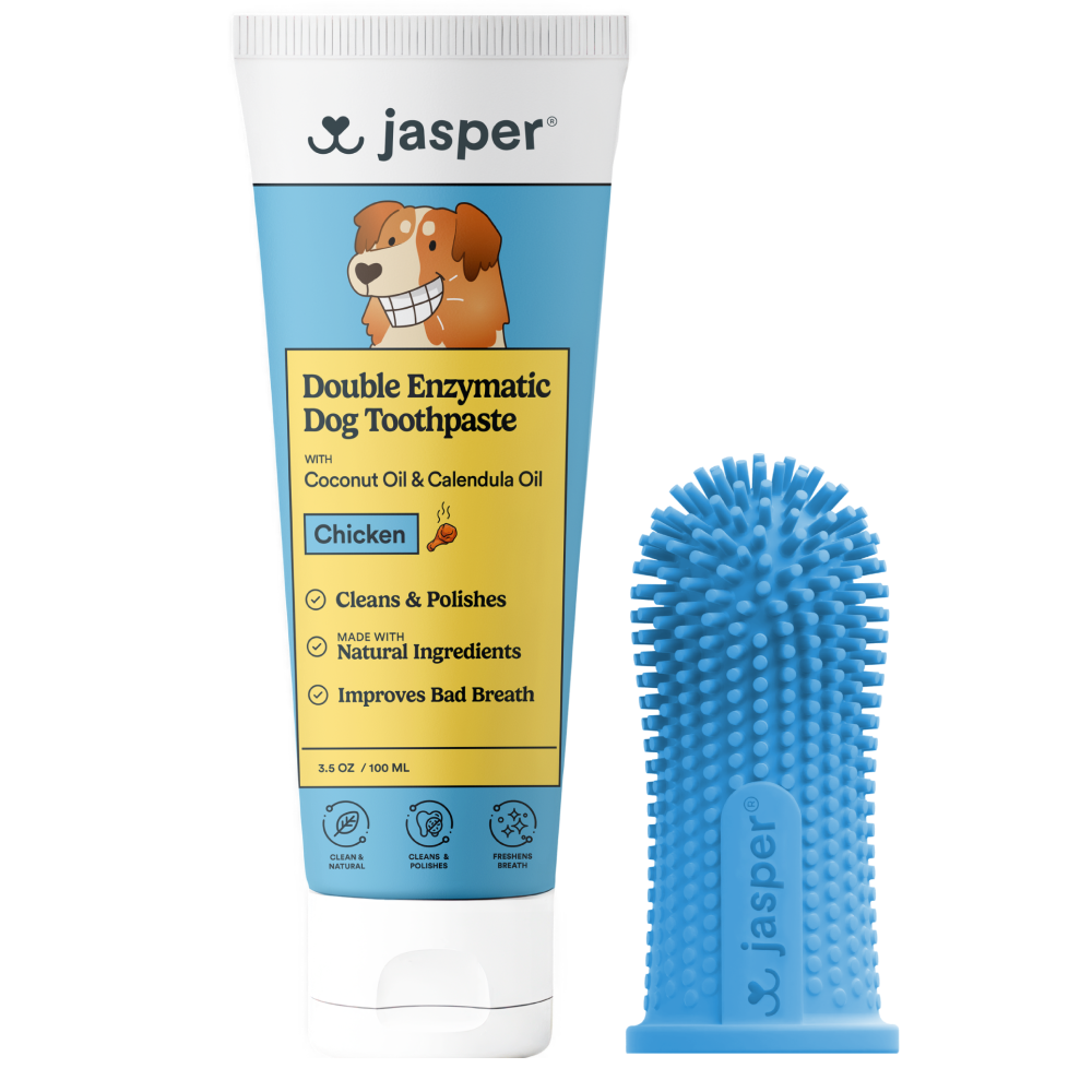 Jasper Toothbrush Kit with Chicken Toothpaste + 360º Finger Toothbrush