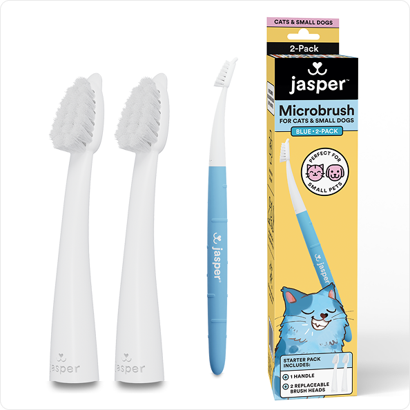 Microbrush with Replaceable Heads