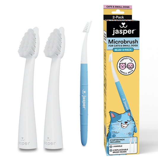 Microbrush with Replaceable Heads