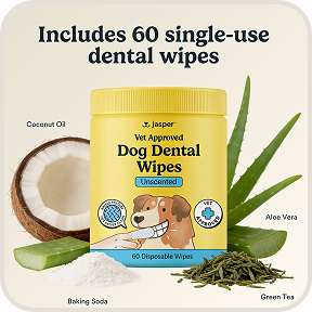 Dog Dental Wipes 60 disposables