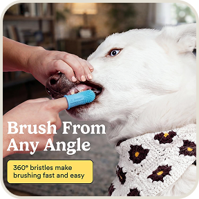 Jasper 360º Finger Toothbrush