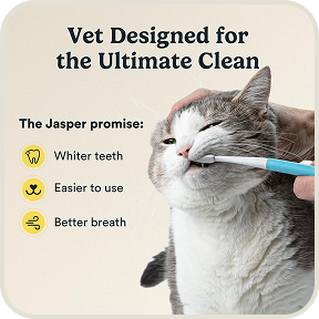 Microbrush with Replaceable Heads