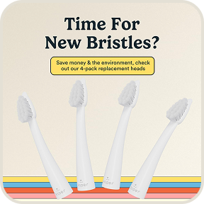 Microbrush with Replaceable Heads