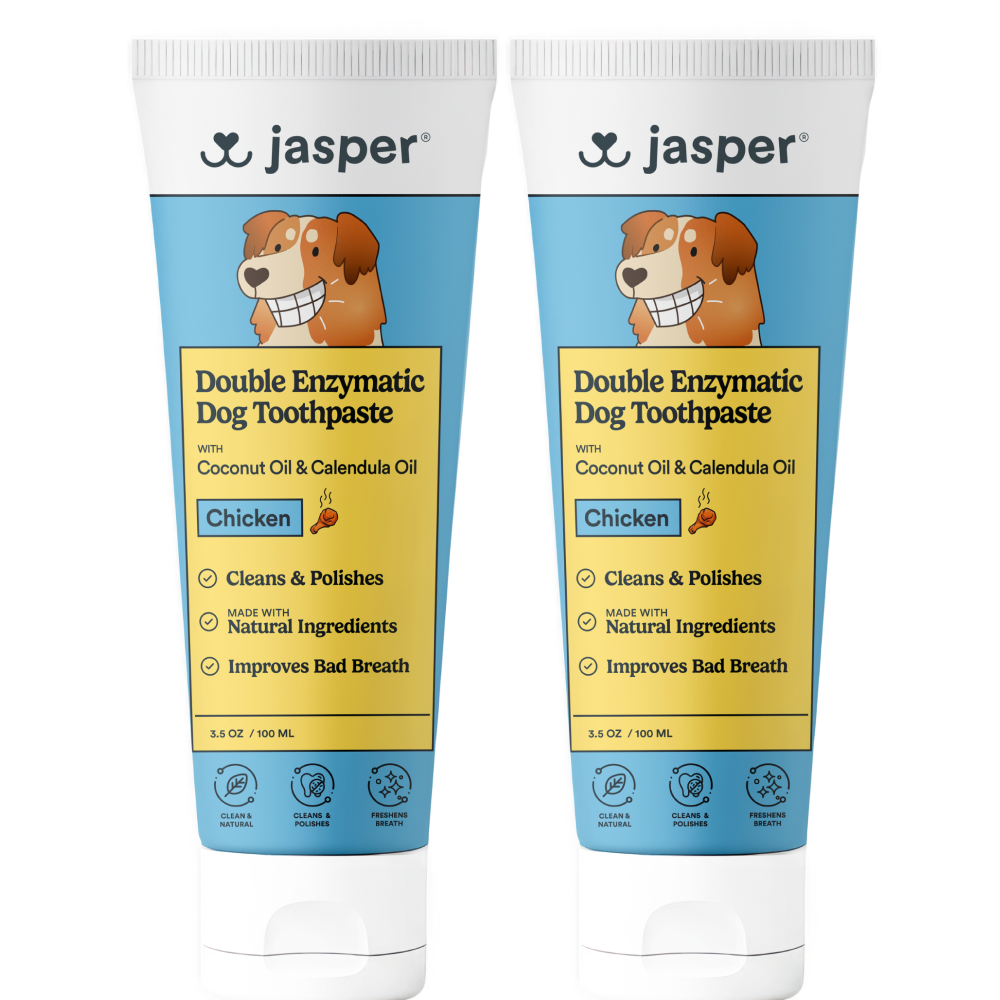 Double Enzymatic Dog Toothpaste 3.5 oz