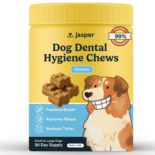 Jasper® Dog Dental Chews, Chicken Flavor, 30 Chews